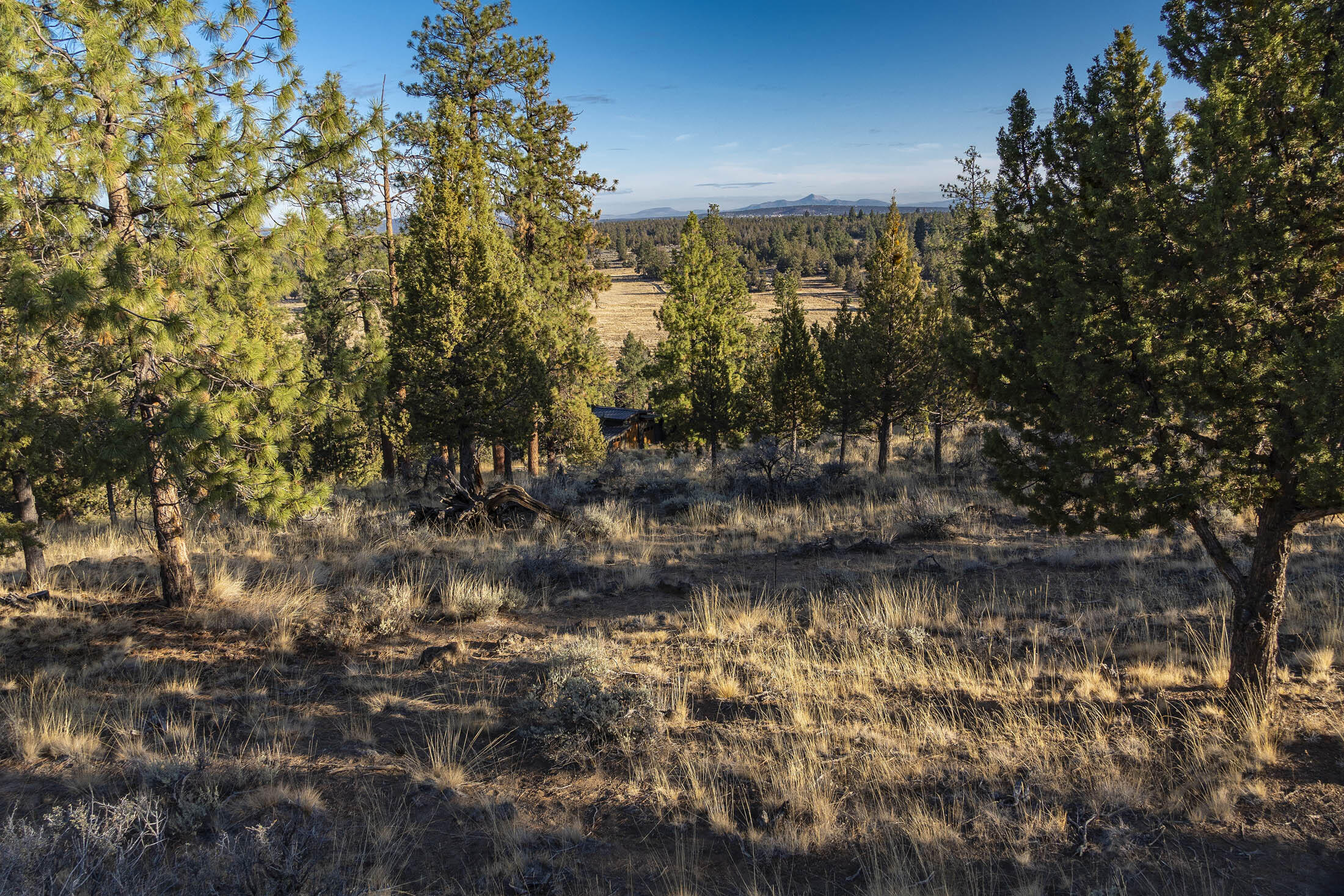 1614 Northwest Wild Rye Circle Bend, OR 97703 - Photo 24 of 30 1614 NW Wild Rye 019 copy