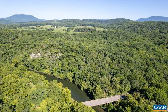 a view of a lush green forest with lush green forest