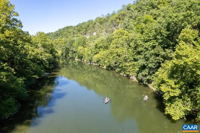 a view of a lush green field with lots of bushes