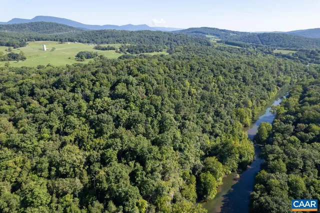 a view of a big yard with plants and large trees
