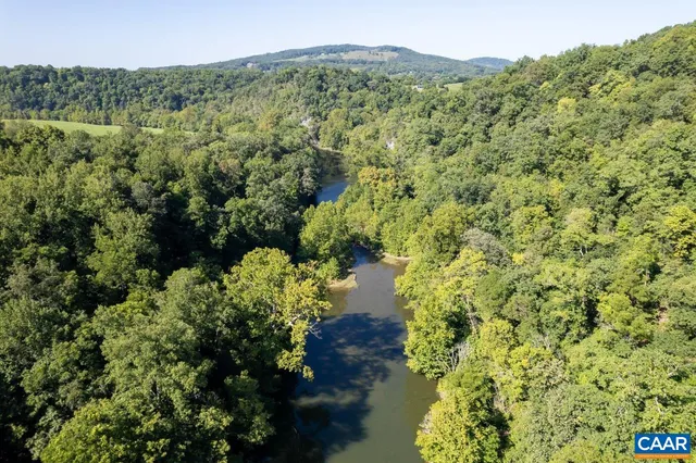 a view of a lush green forest with a mountain