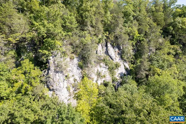 a view of a lush green forest with trees and some houses