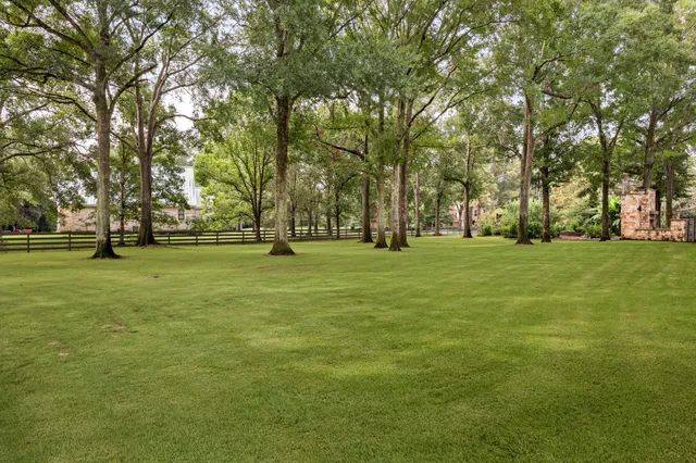a huge green field with lots of trees