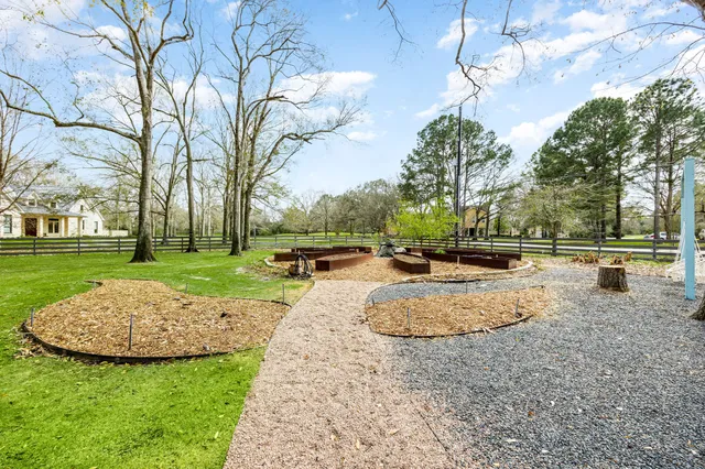 a view of a park with large trees