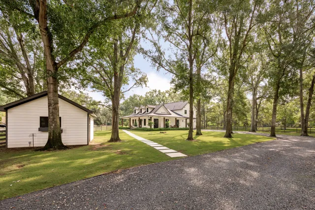 a view of a park with large trees