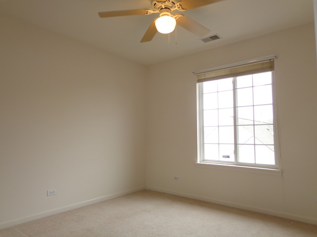 654 South Rosehall Lane Round Lake, IL 60073 - Photo 8 of 14