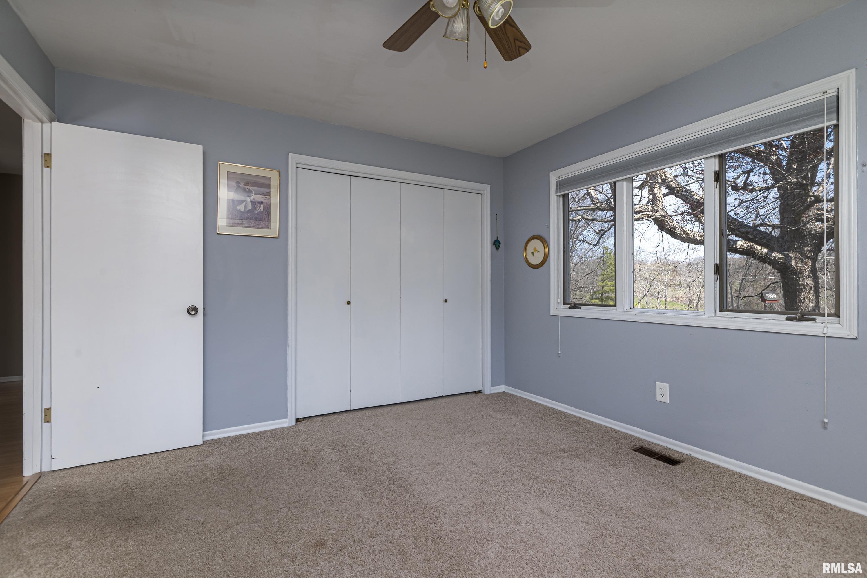 2515 Casper Church Road Cobden, IL 62920 - Photo 17 of 37 Gallery Image 17