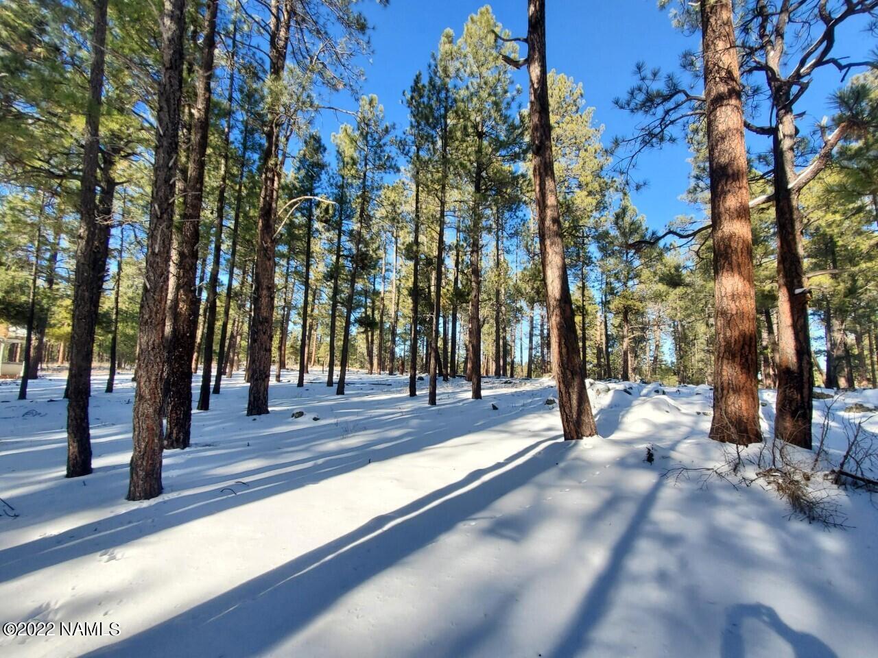 3781 Griffiths Spring Flagstaff, AZ 86005 - Photo 4 of 4 Lot 451_4