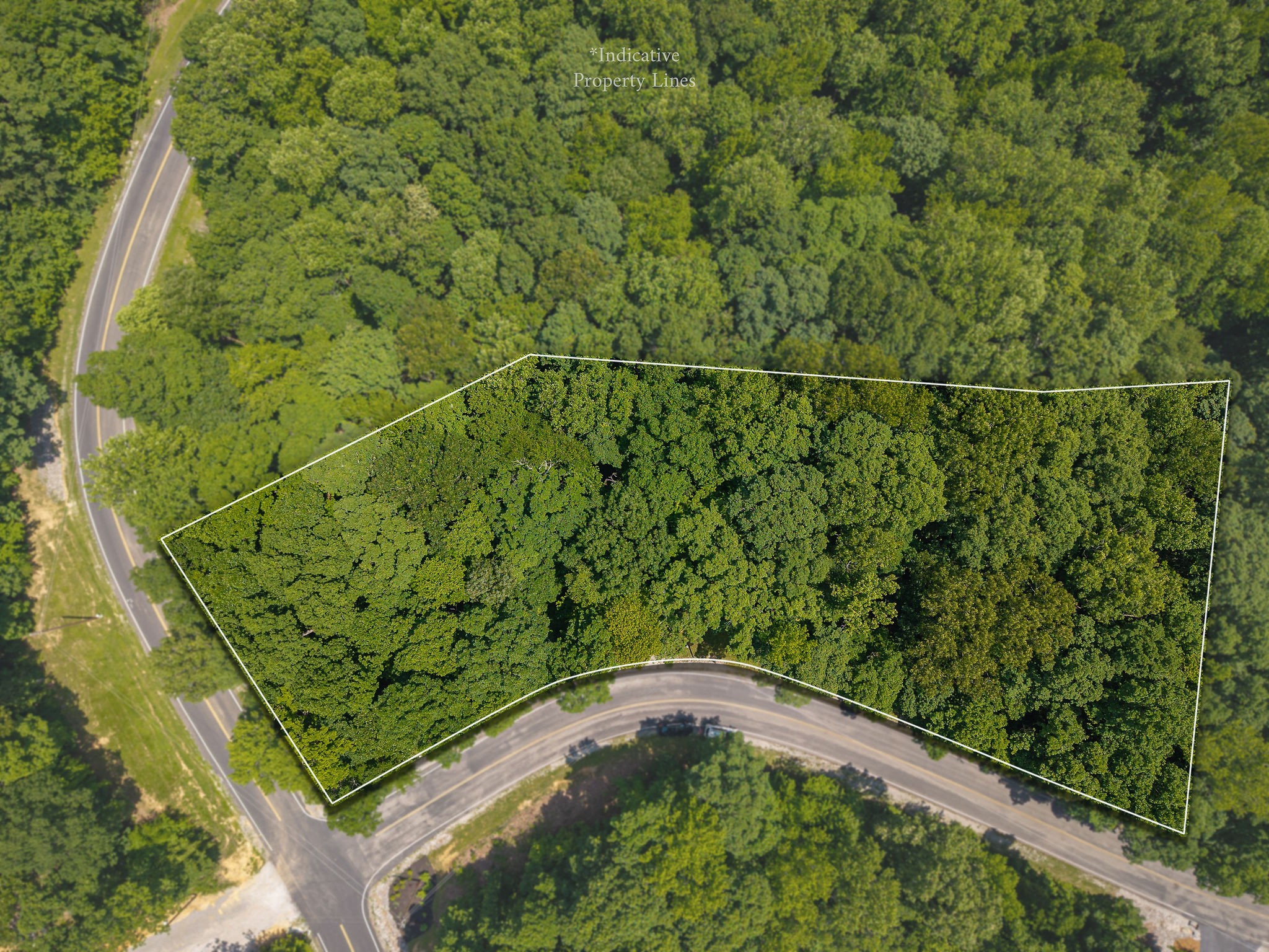 0 Sunset Pointe Sparta, TN 38583 - Photo 2 of 13 a bird view of a garden