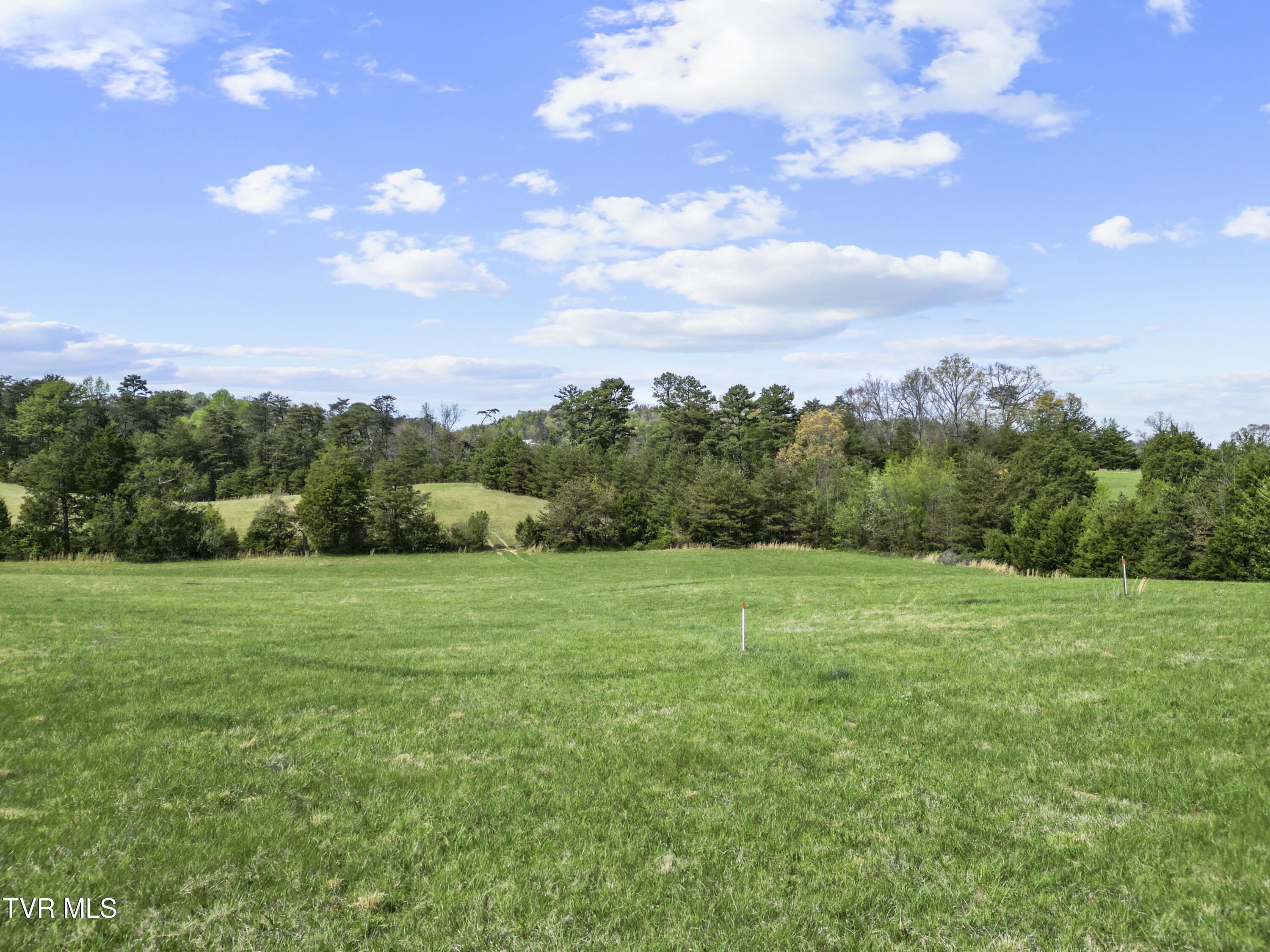 2 Red Hill Road Greeneville, TN 37743 - Photo 14 of 31 DJI_0257