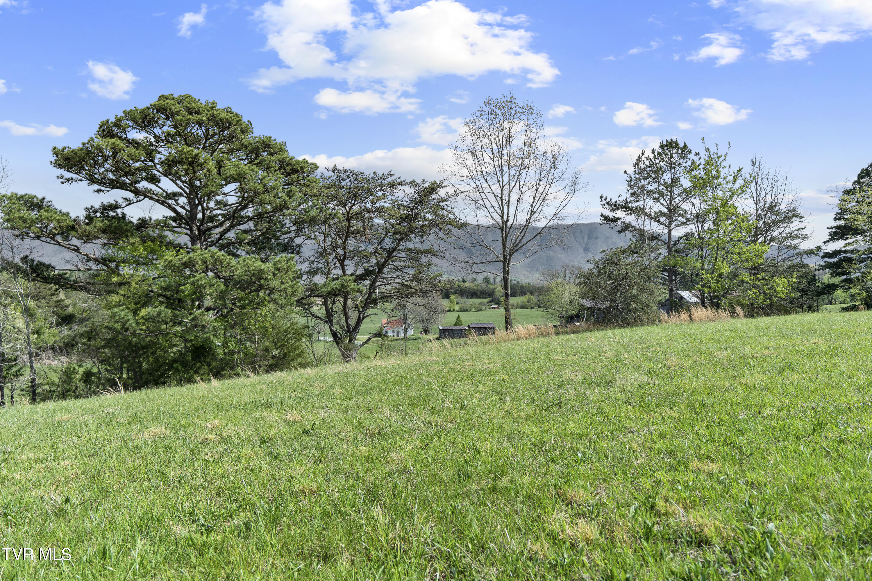 2 Red Hill Road Greeneville, TN 37743 - Photo 16 of 31 DSC09736