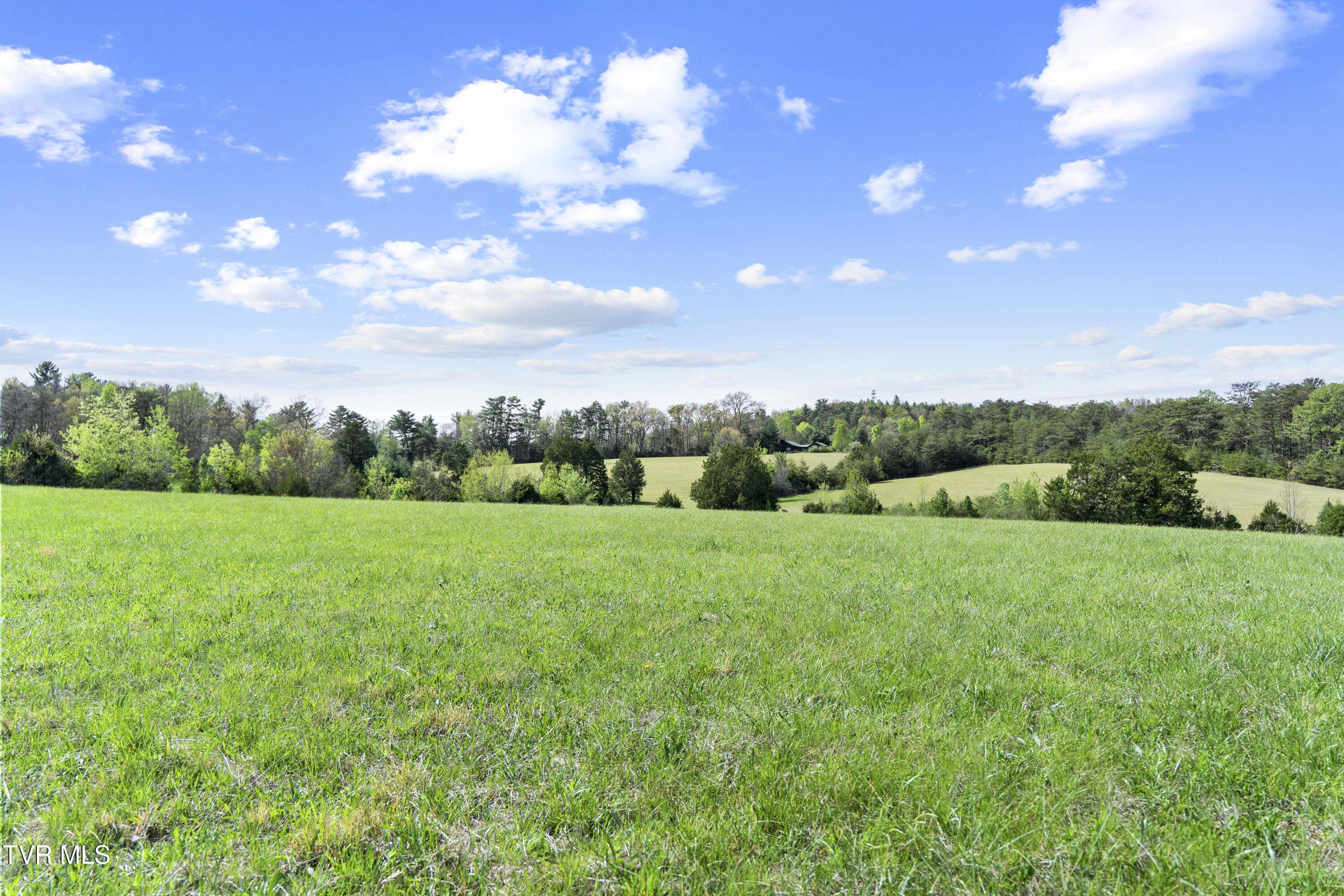 2 Red Hill Road Greeneville, TN 37743 - Photo 17 of 31 DSC09739