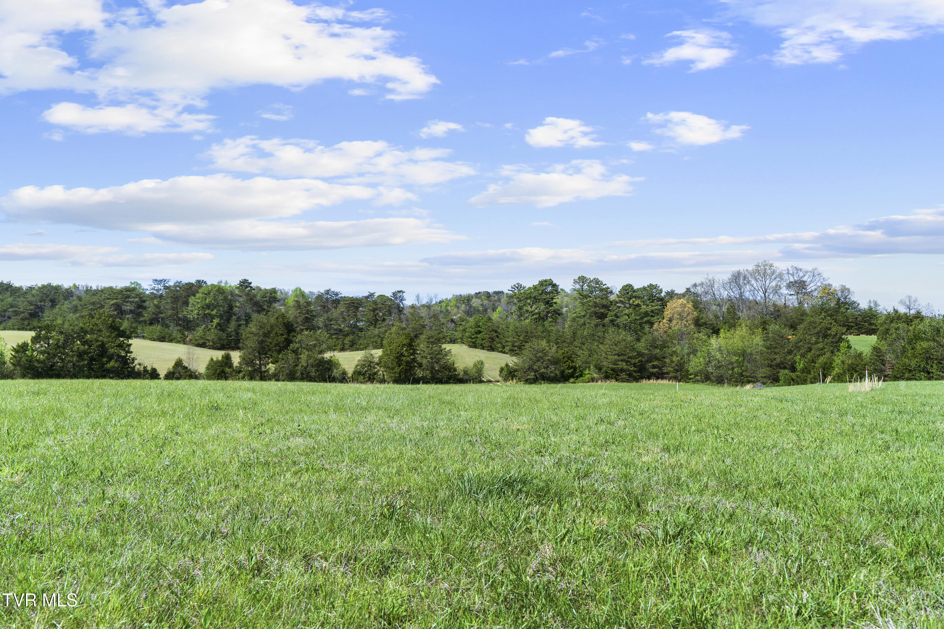 2 Red Hill Road Greeneville, TN 37743 - Photo 18 of 31 DSC09741