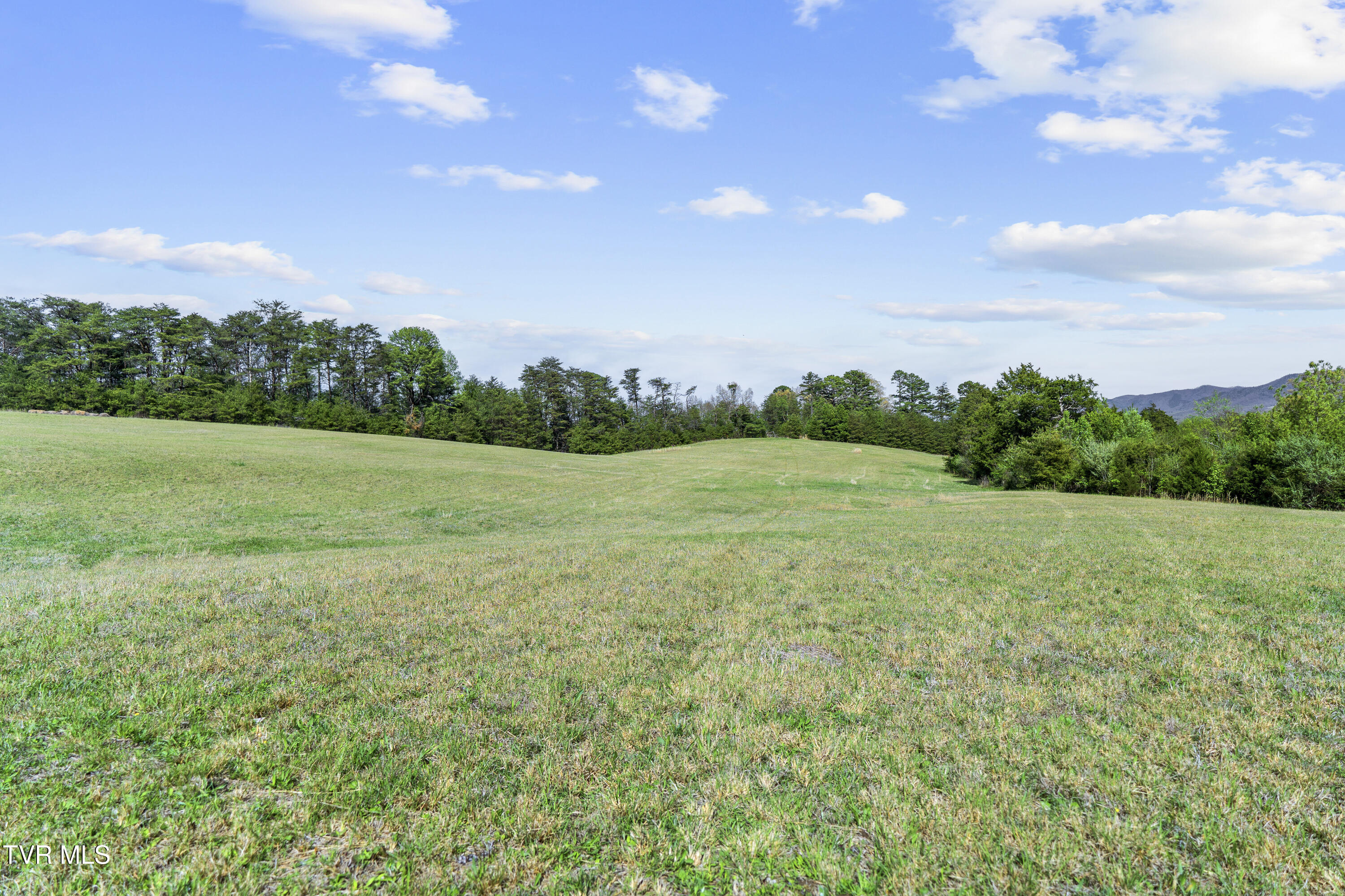 2 Red Hill Road Greeneville, TN 37743 - Photo 19 of 31 DSC09747