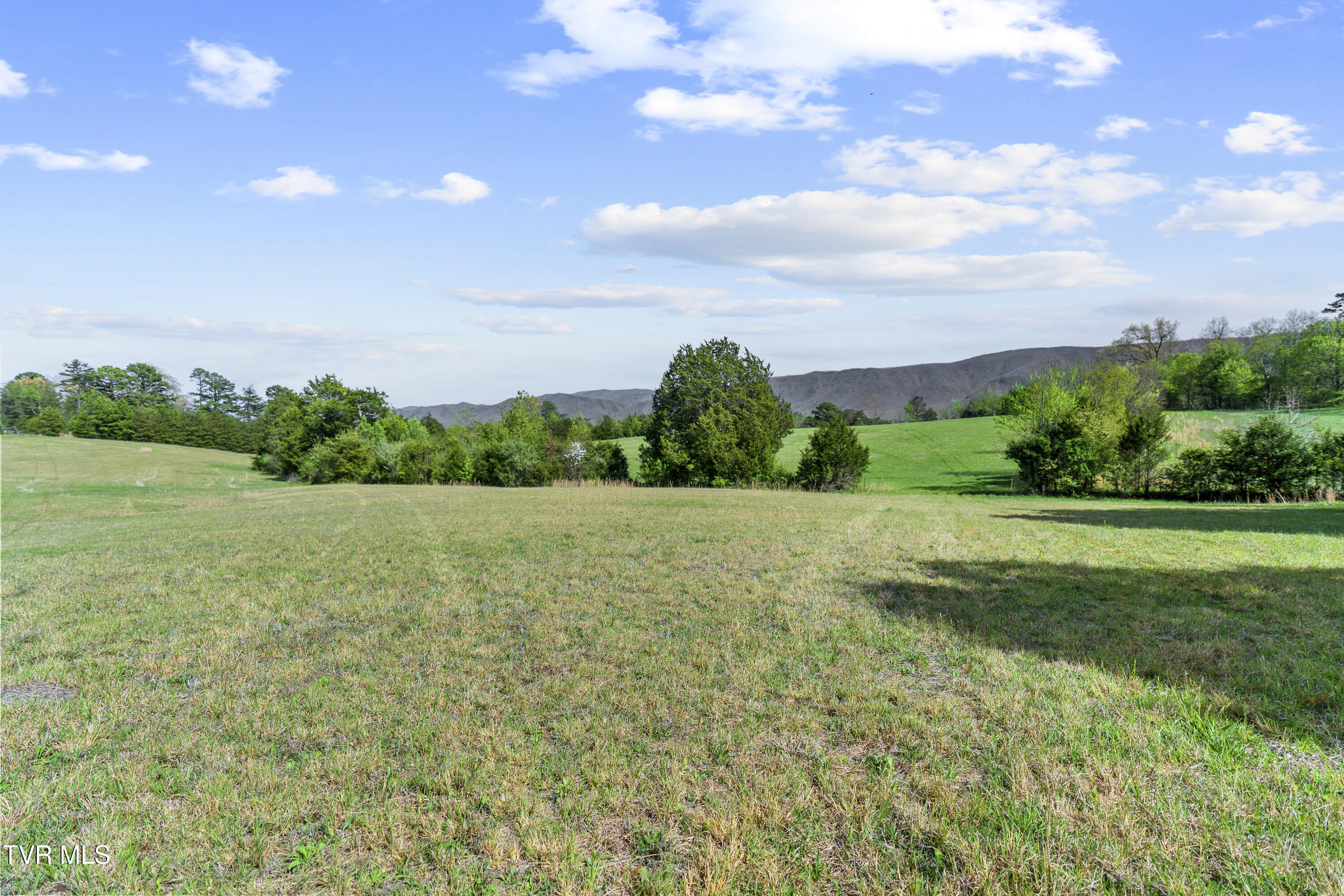 2 Red Hill Road Greeneville, TN 37743 - Photo 20 of 31 DSC09750