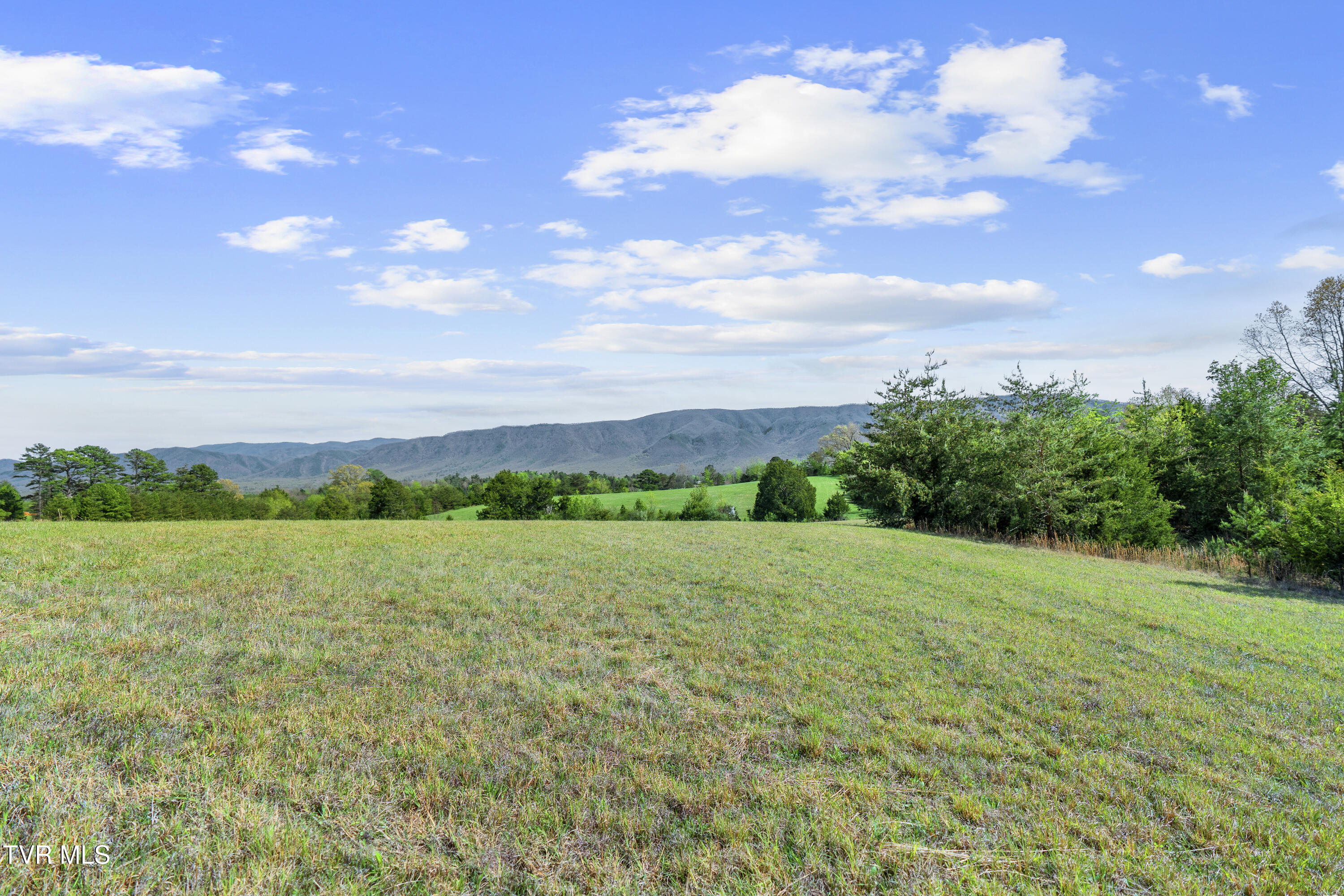2 Red Hill Road Greeneville, TN 37743 - Photo 21 of 31 DSC09756