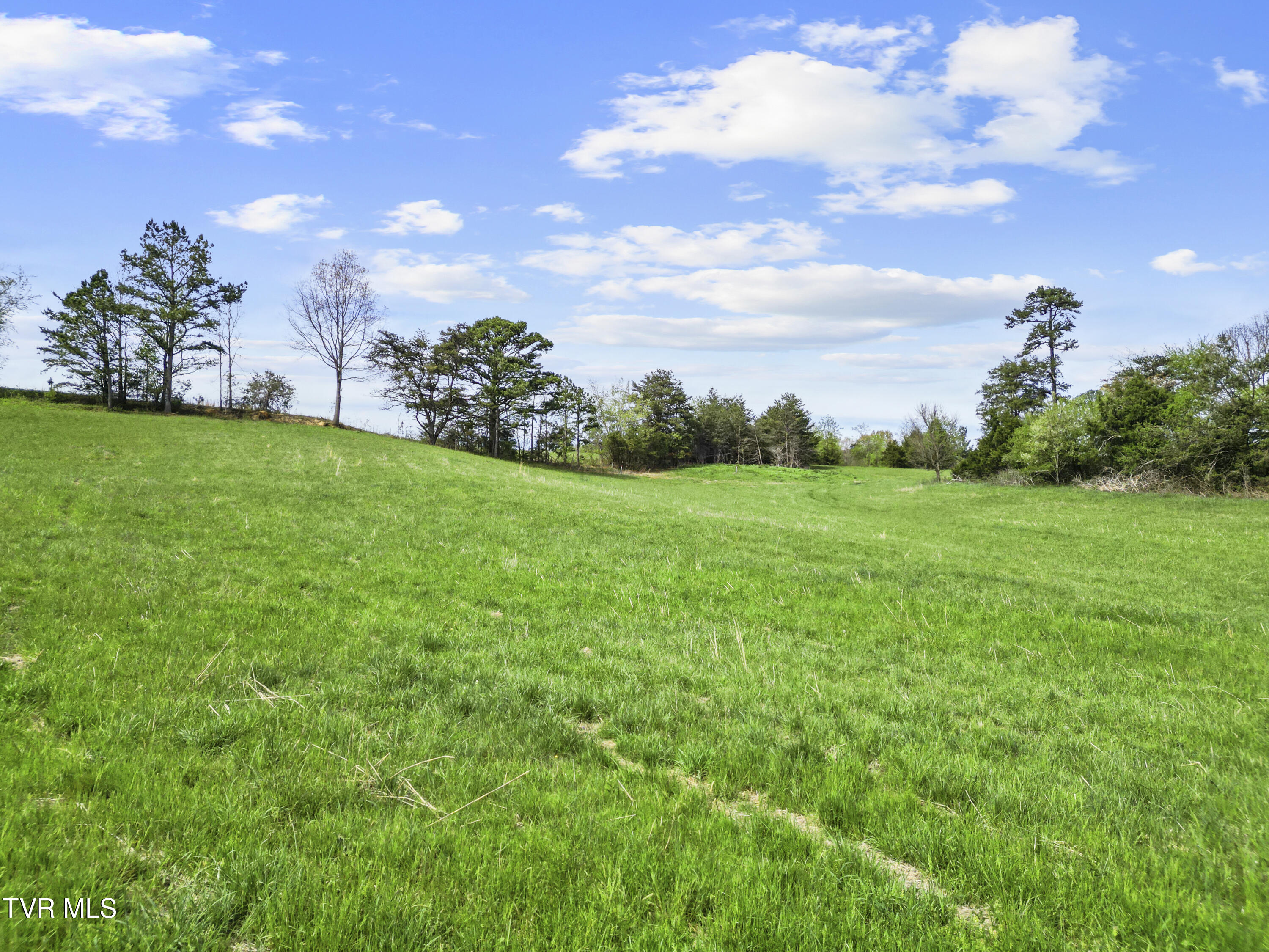 2 Red Hill Road Greeneville, TN 37743 - Photo 22 of 31 DJI_0237