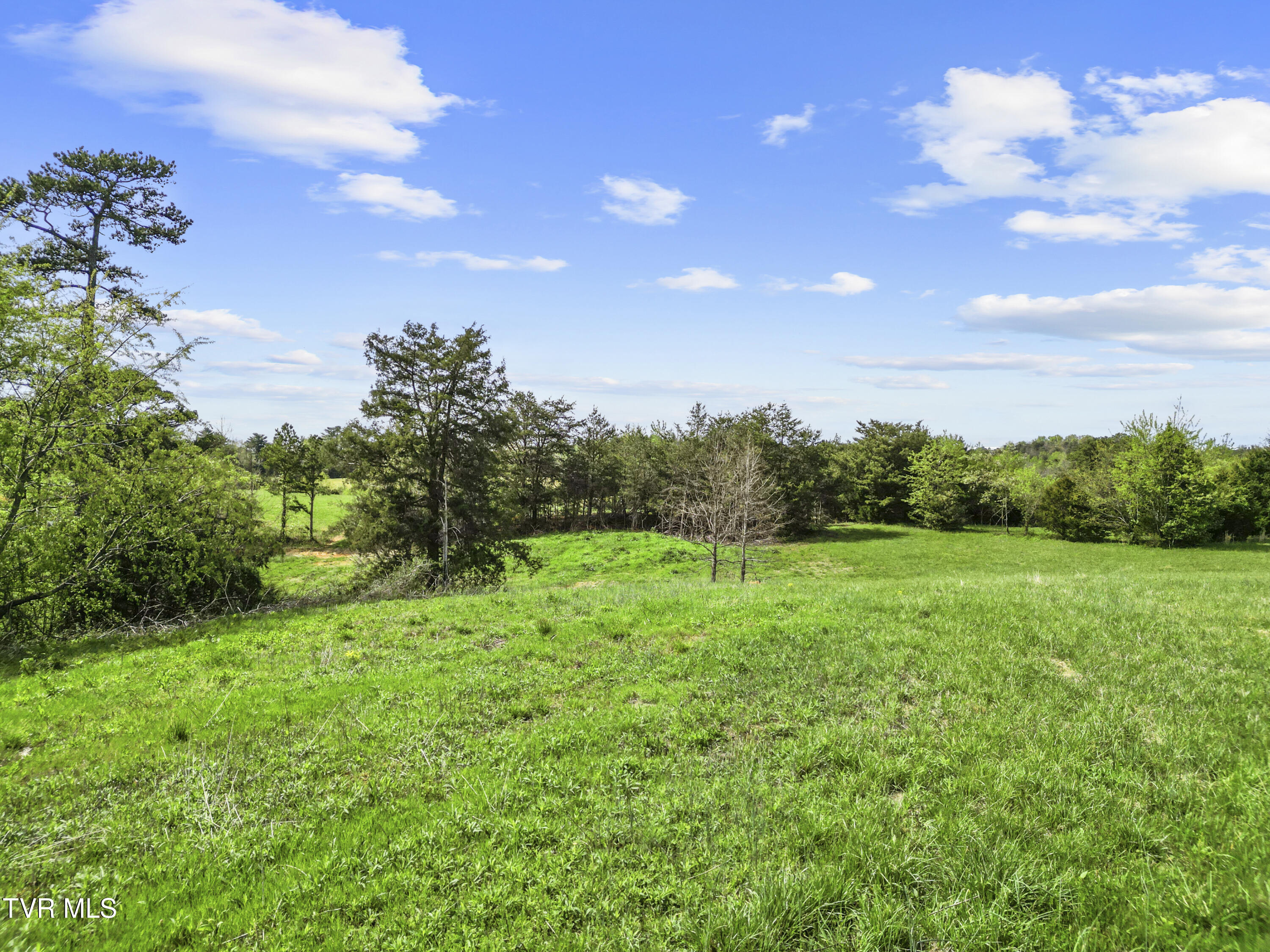 2 Red Hill Road Greeneville, TN 37743 - Photo 24 of 31 DJI_0241
