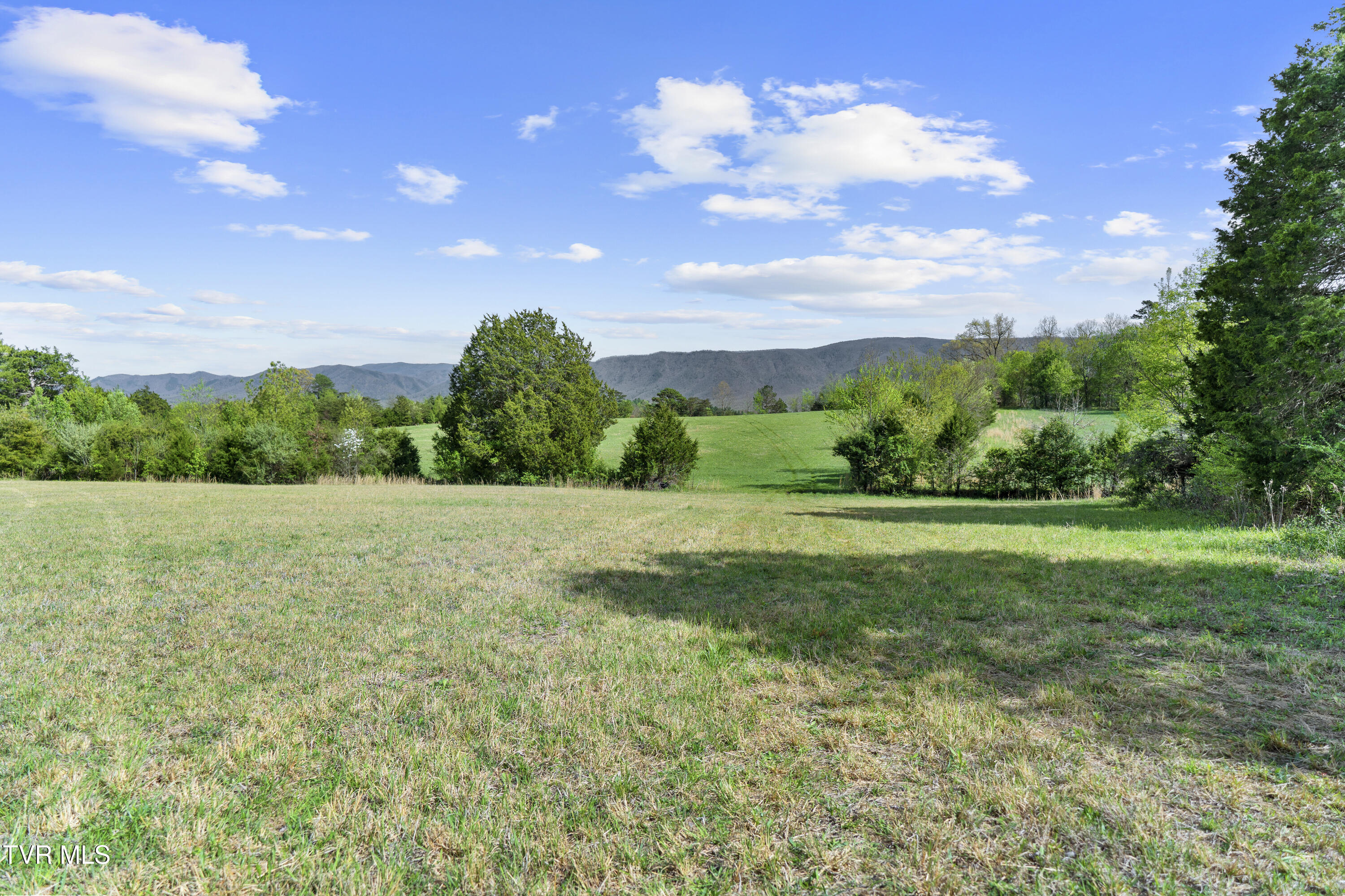 2 Red Hill Road Greeneville, TN 37743 - Photo 3 of 31 DSC09745