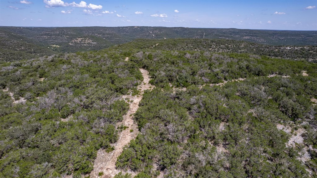 2242 Patterson Creek Road Leakey, TX 78873 - Photo 12 of 56