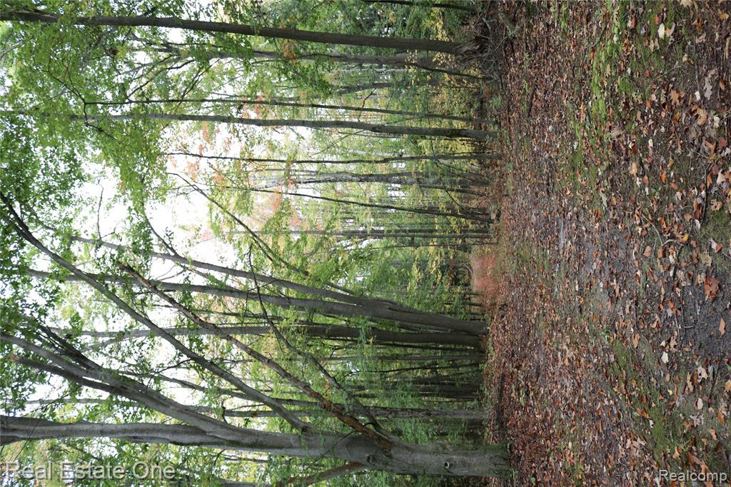 0 West Berry Road Sterling, MI 48659 - Photo 13 of 33