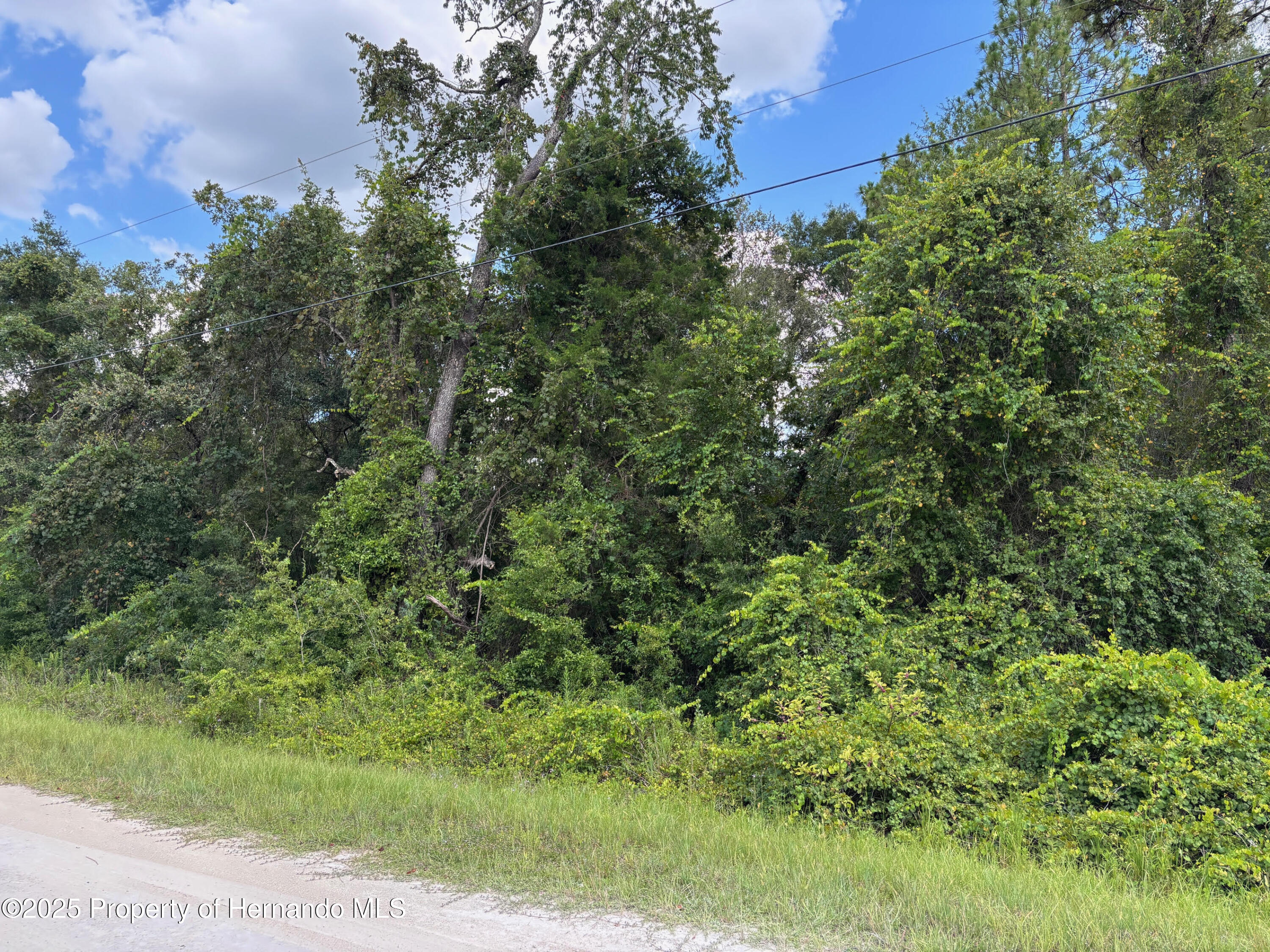 Lot 1 Canvasback Road Weeki Wachee, FL 34614 - Photo 3 of 11
