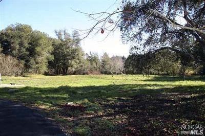 0 Mueller Road Sebastopol, CA 95472 - Photo 1 of 1 a view of a yard with a tree