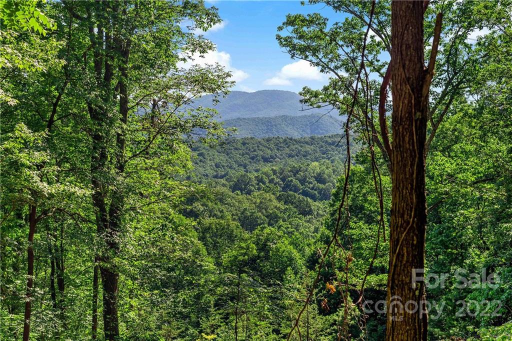 913 Mulberry Road Old Fort, NC 28762 - Photo 1 of 23 Gallery Image 1