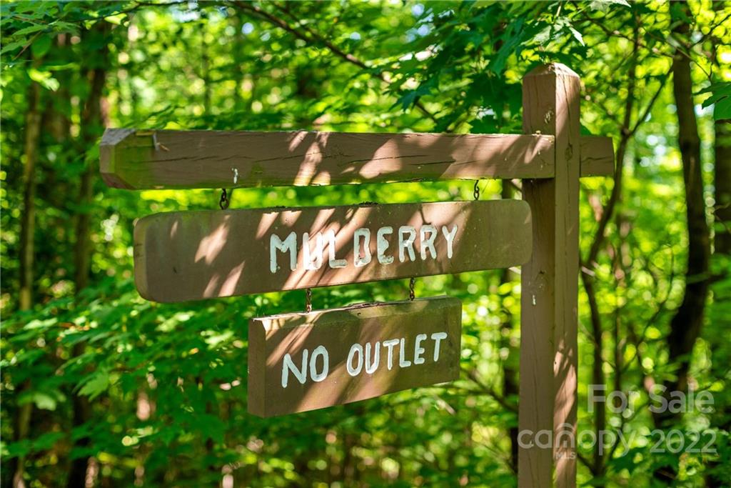 913 Mulberry Road Old Fort, NC 28762 - Photo 11 of 23 Gallery Image 11