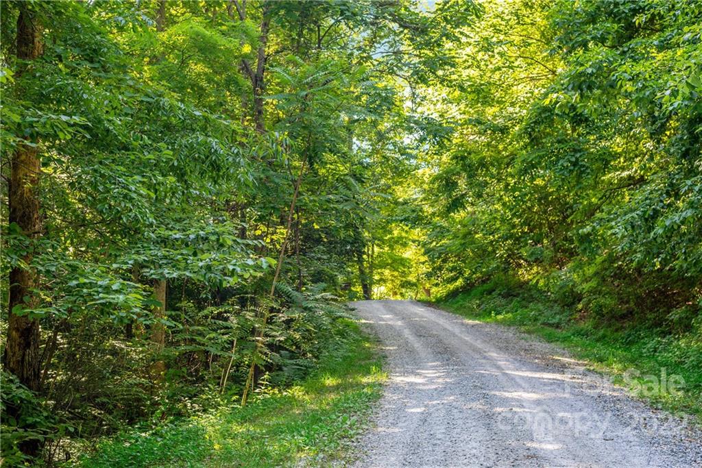 913 Mulberry Road Old Fort, NC 28762 - Photo 12 of 23 Gallery Image 12