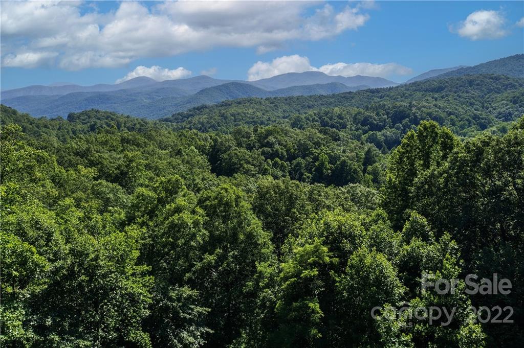 913 Mulberry Road Old Fort, NC 28762 - Photo 2 of 23 Gallery Image 2