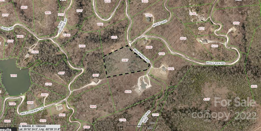 913 Mulberry Road Old Fort, NC 28762 - Photo 4 of 23 Gallery Image 4