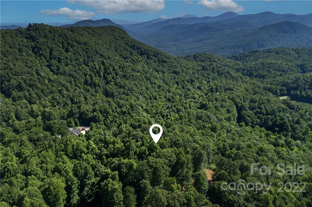 913 Mulberry Road Old Fort, NC 28762 - Photo 5 of 23 Gallery Image 5