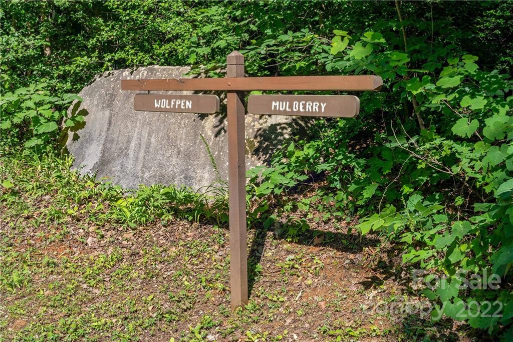 913 Mulberry Road Old Fort, NC 28762 - Photo 9 of 23 Gallery Image 9