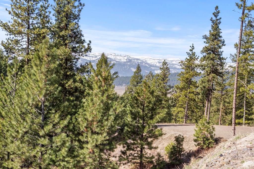 17 Tito Trail, Unit 1 Cascade, ID 83611 - Photo 3 of 16 Views Galore