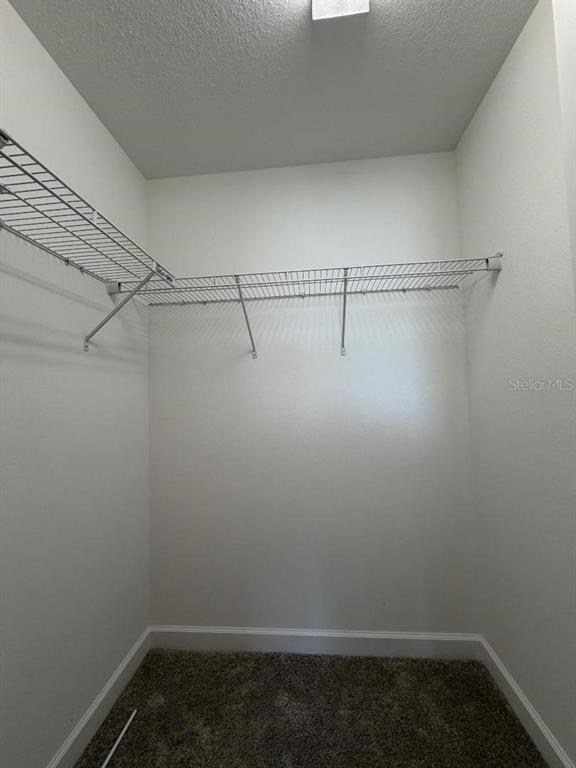 25118 Lambrusco Loop Lutz, FL 33559 - Photo 14 of 26