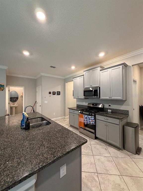 25118 Lambrusco Loop Lutz, FL 33559 - Photo 3 of 26