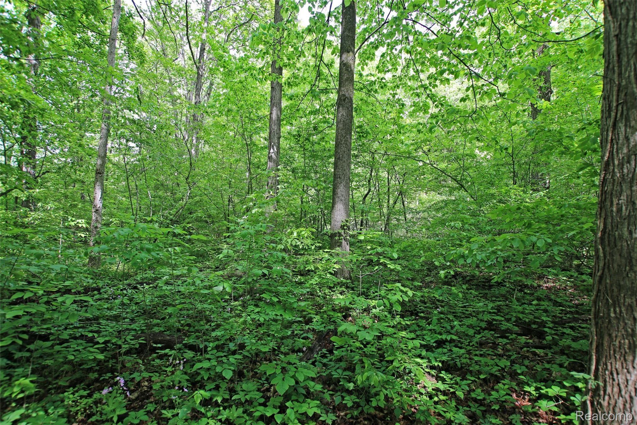 310 North Van Road Holly, MI 48442 - Photo 73 of 75 72) Trails.jpg