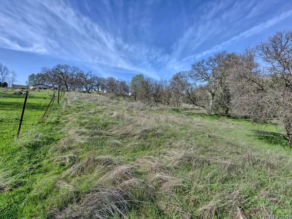 a view of a field with an tree