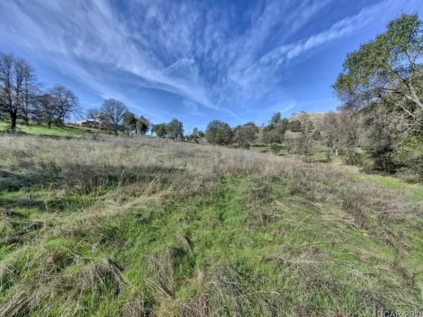 a view of a field of grass and trees