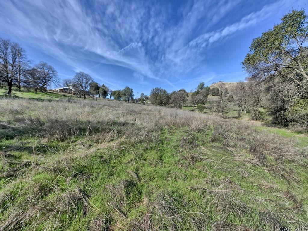 668 Murphys Grade Road Angels Camp, CA 95222 - Photo 14 of 30 a view of a field of grass and trees