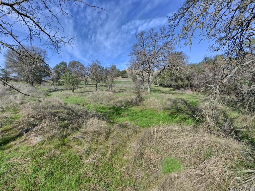 668 Murphys Grade Road Angels Camp, CA 95222 - Photo 15 of 30 a view of a yard with a tree
