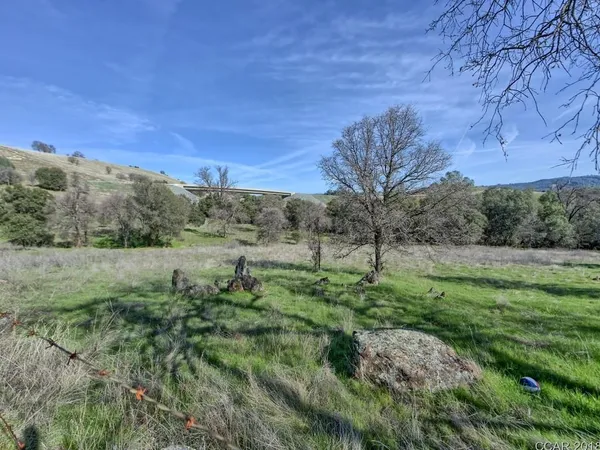 a view of a yard with a tree
