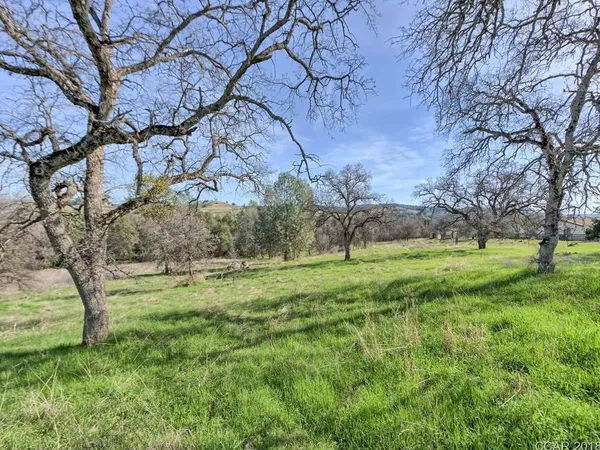 a view of field with large trees