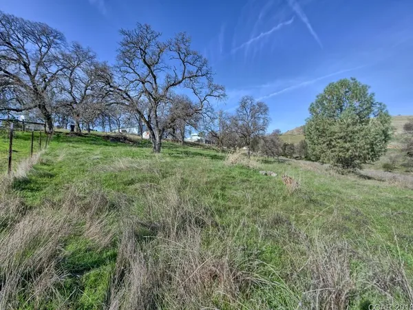 a view of a garden with trees