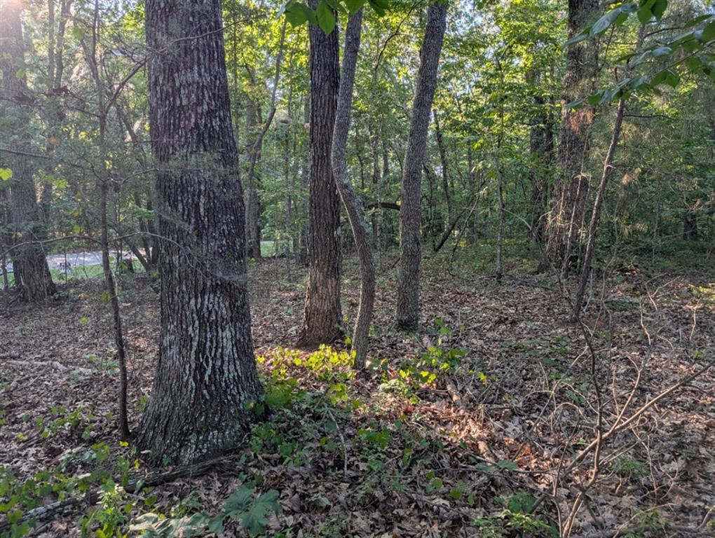 0 Jay Green Road Canton, GA 30115 - Photo 6 of 10 Gallery Image 6