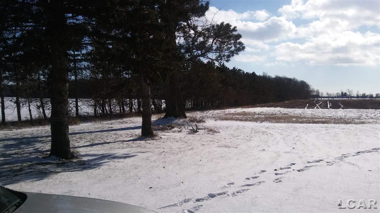8187 Pixley Road Palmyra, MI 49268 - Photo 5 of 12 31337301-4.JPG