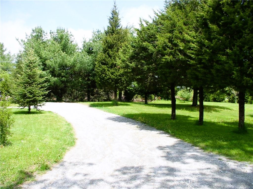 12 Railroad Street, Unit B Richmond, RI 02875 - Photo 8 of 24 rear driveway