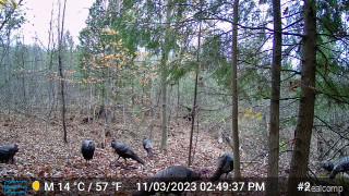 554 Barnes Lake Road Columbiaville, MI 48421 - Photo 29 of 31
