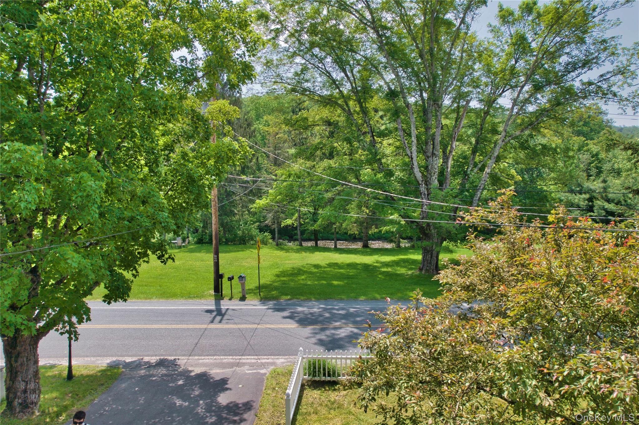 641 Debruce Road Livingston Manor, NY 12758 - Photo 5 of 47 street view from front porch